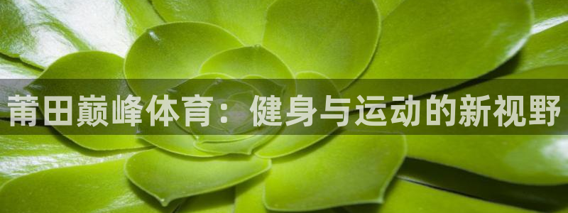 三亿体育网：莆田巅峰体育：健身与运动的新视野