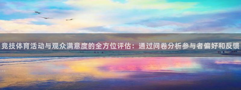 三亿体育登录：竞技体育活动与观众满意度的全方位评估：通过问卷分析参与者偏好和反馈