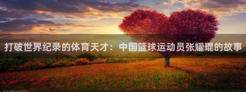 三亿体育网：打破世界纪录的体育天才：中国篮球运动员张耀琨的故事