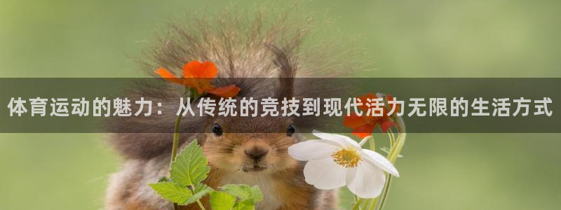 三亿体育网：体育运动的魅力：从传统的竞技到现代活力无限的生活方式