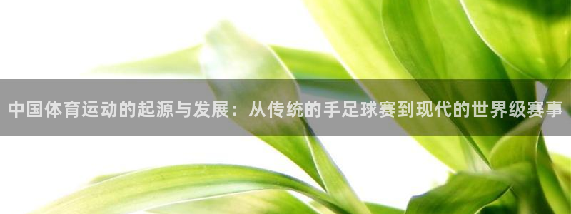 三亿体育网页版：中国体育运动的起源与发展：从传统的手足球赛到现代的世界级赛事
