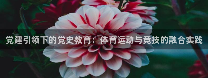 三亿体育登录