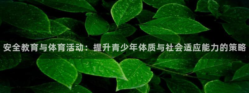 三亿体育：安全教育与体育活动：提升青少年体质与社会适应能力的策略