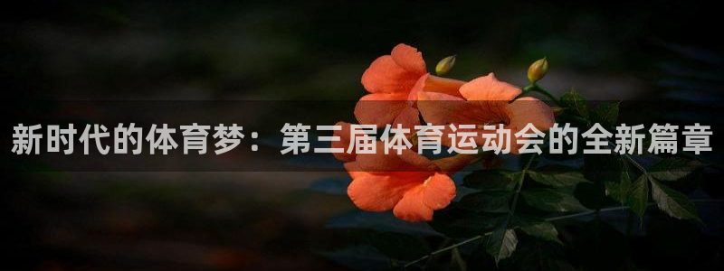 三亿体育网：新时代的体育梦：第三届体育运动会的全新篇章
