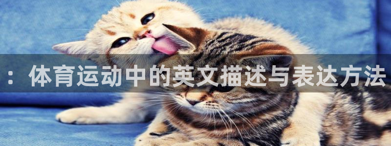 三亿体育网页版：：体育运动中的英文描述与表达方法
