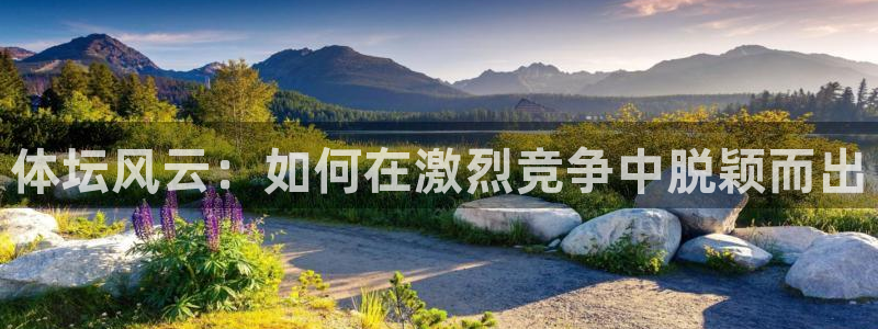 三亿体育登录：体坛风云：如何在激烈竞争中脱颖而出